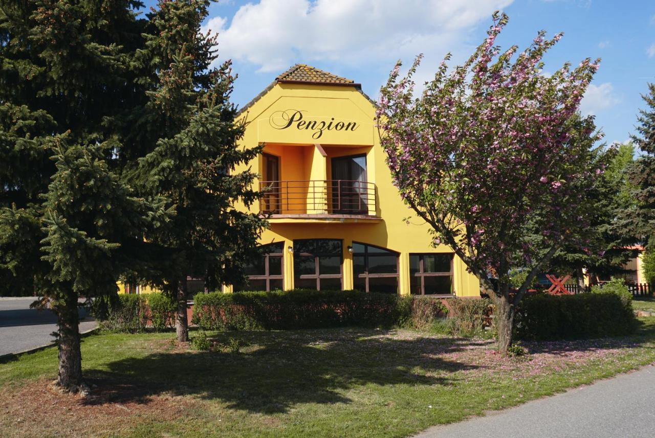 Leo - Penzion Hotel Jevisovice Exterior photo